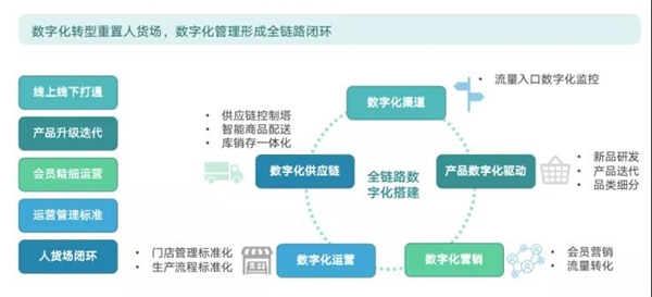 正版免费全年资料大全2020年,数据驱动决策执行_高级版28.757